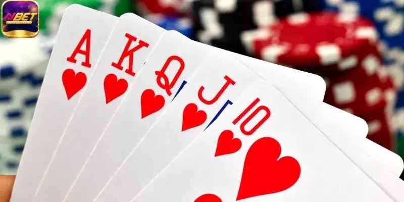 Trả lời có nên áp dụng hướng dẫn chơi bài bịp